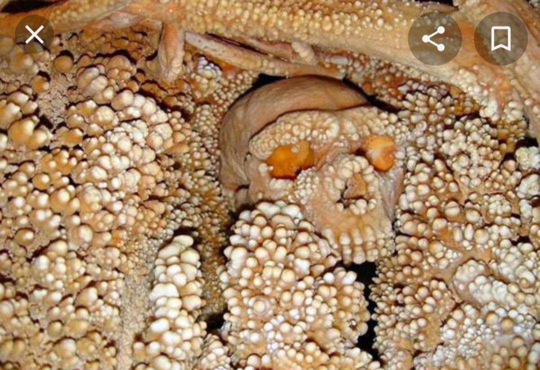 La Casetta Nel Claustro Altamura Kültér fotó